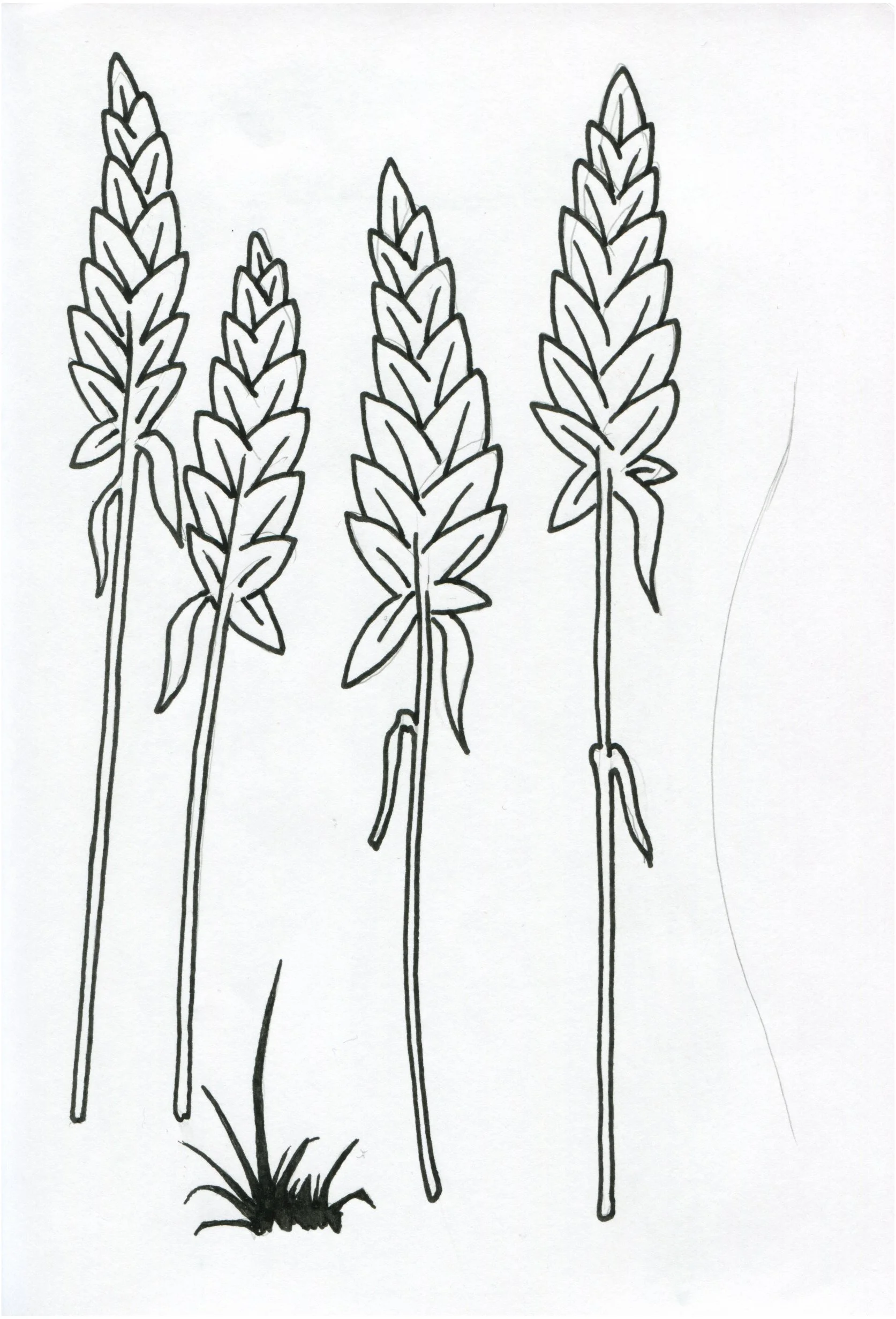 Sketchbook Clairefontaine-28.jpg