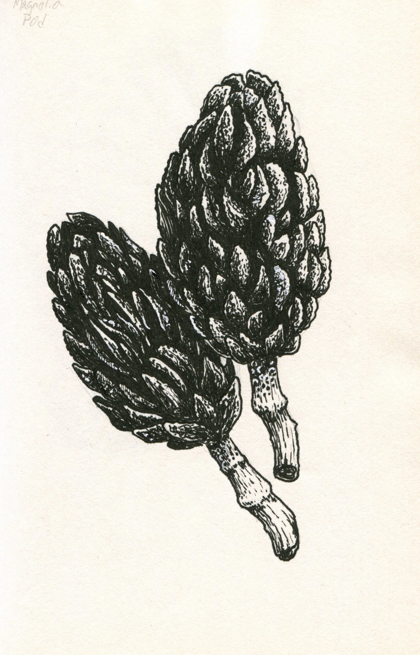 Sketchbook 2026-03.jpg