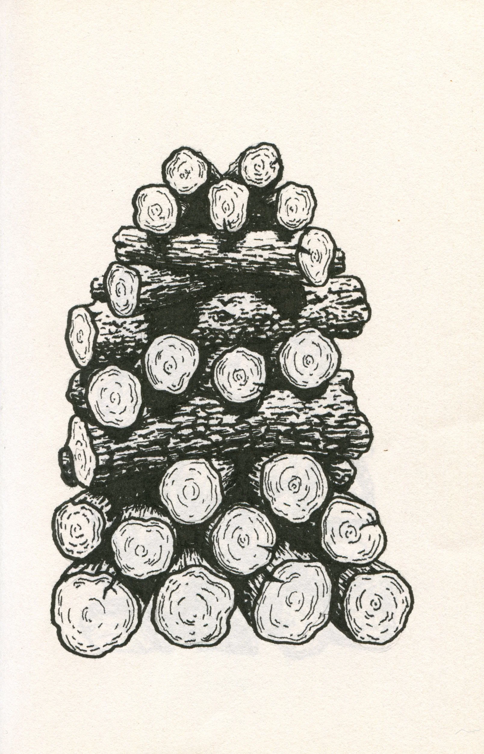 Sketchbook 2026-02.jpg