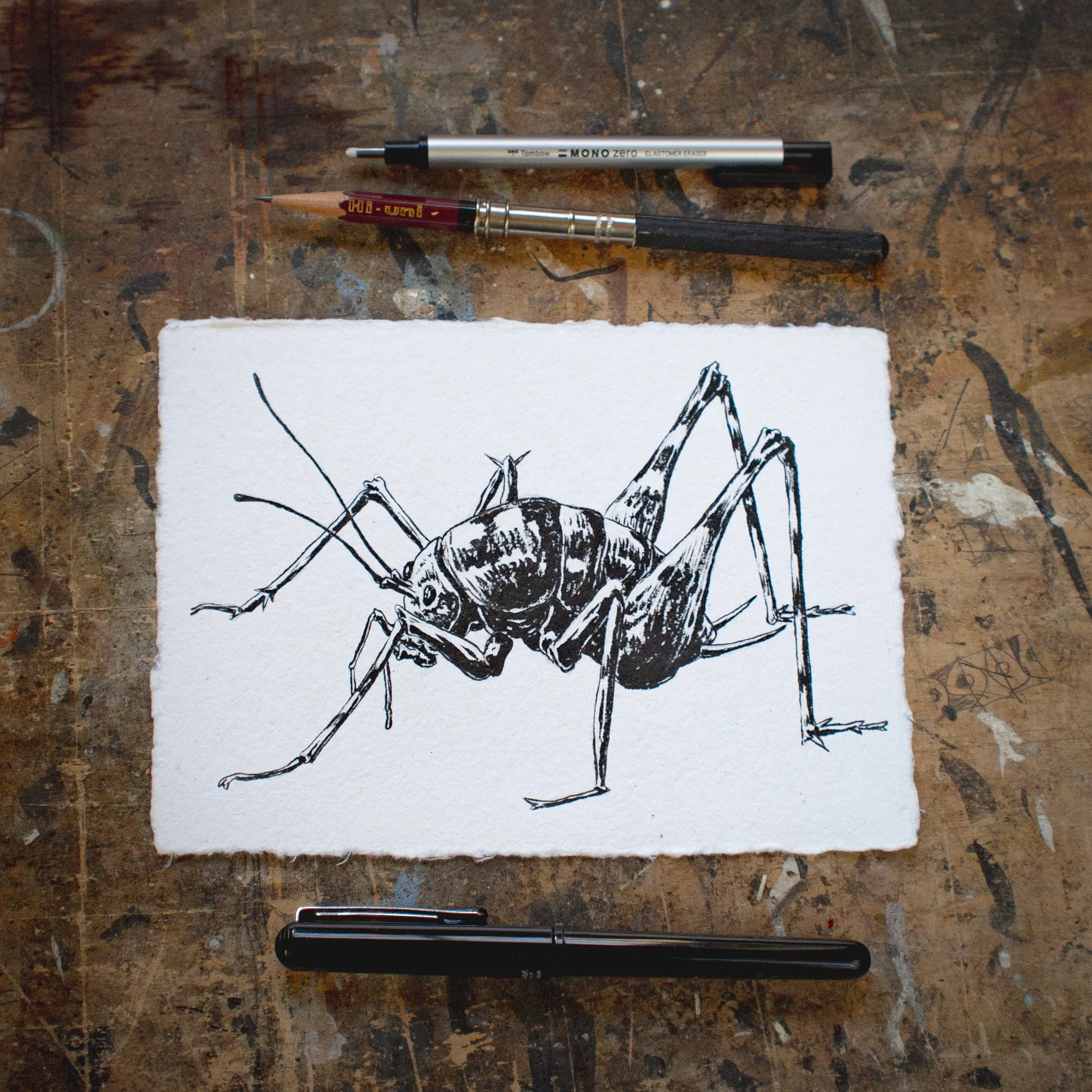 Inktober 2026 Day 2 Square.jpg