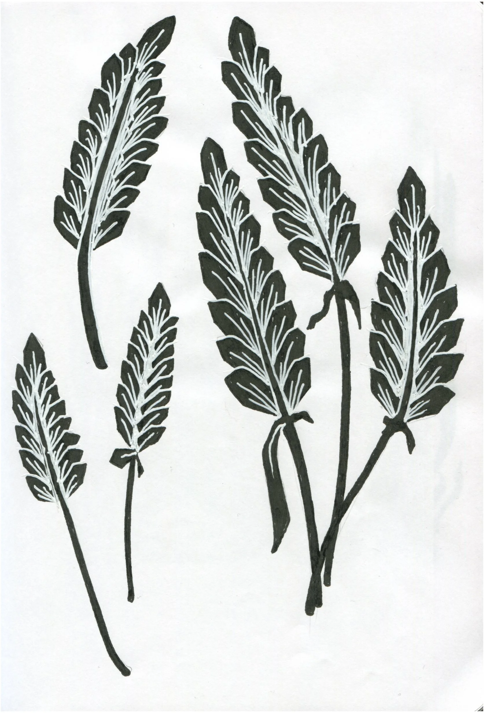 Sketchbook Clairefontaine-10.jpg