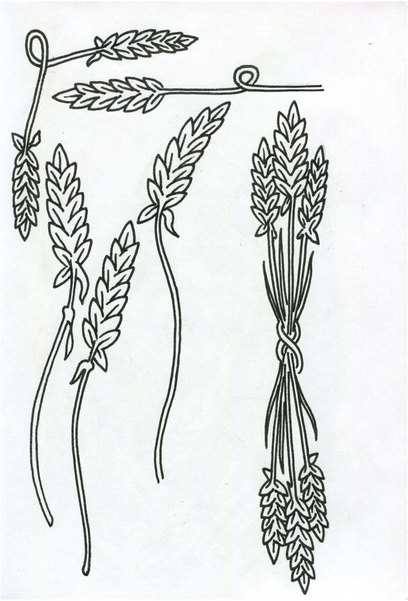 Sketchbook Clairefontaine-29.jpg