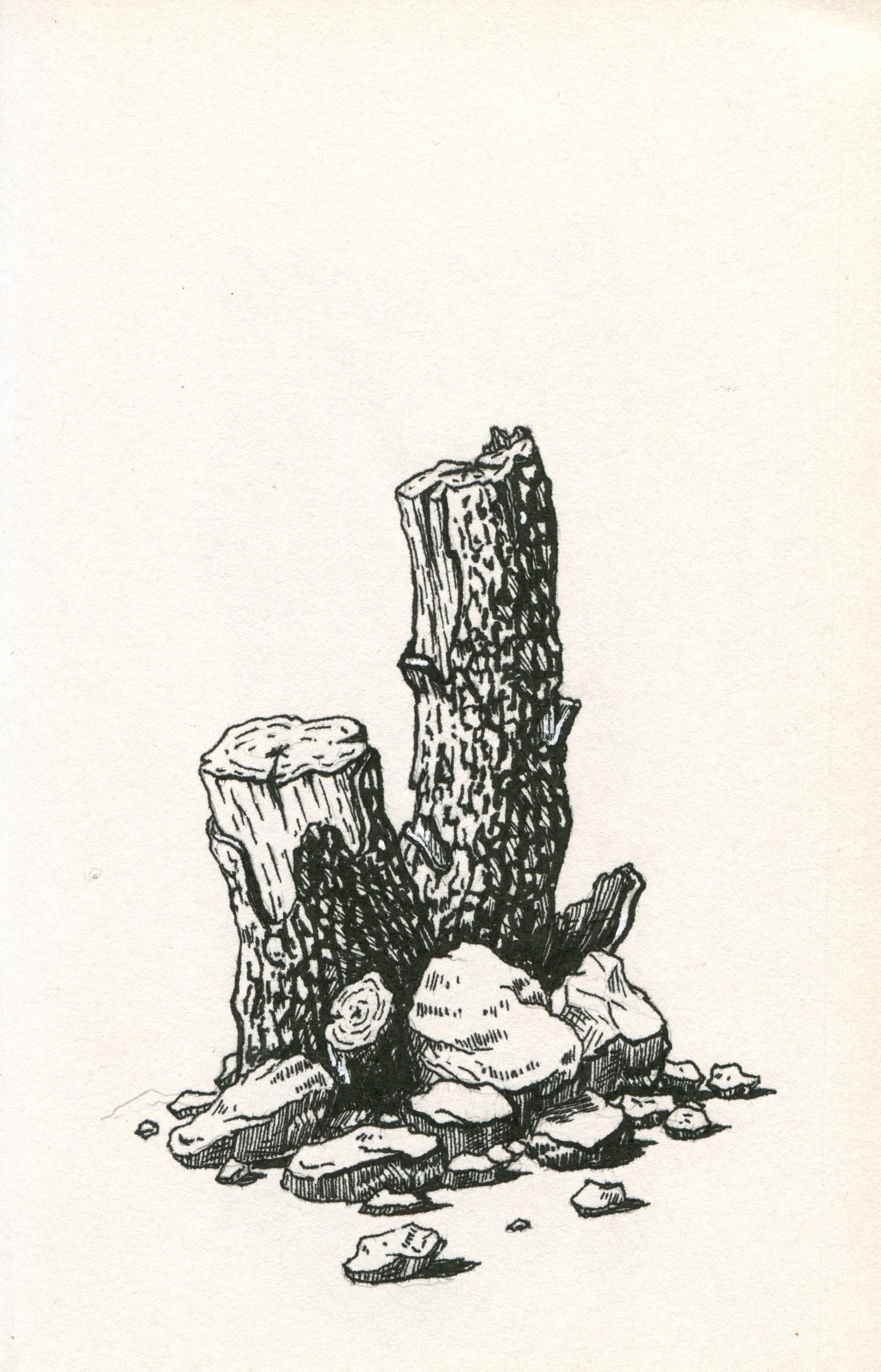 Sketchbook 2026-09.jpg