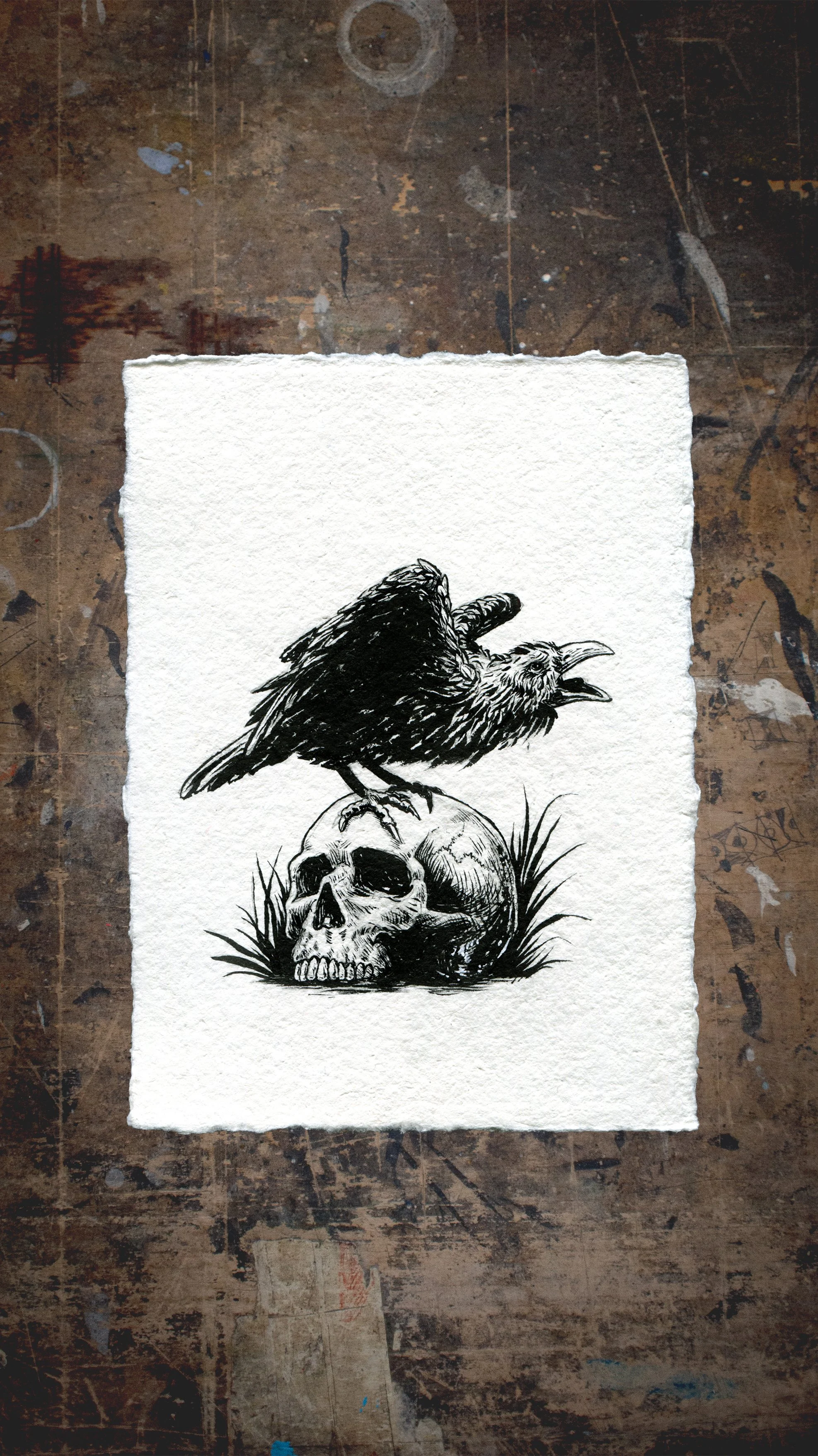 Raven-Skull.jpg