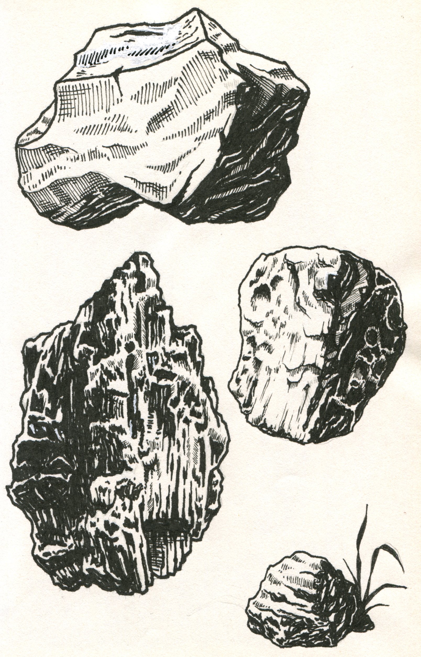 Sketchbook 2026-01.jpg