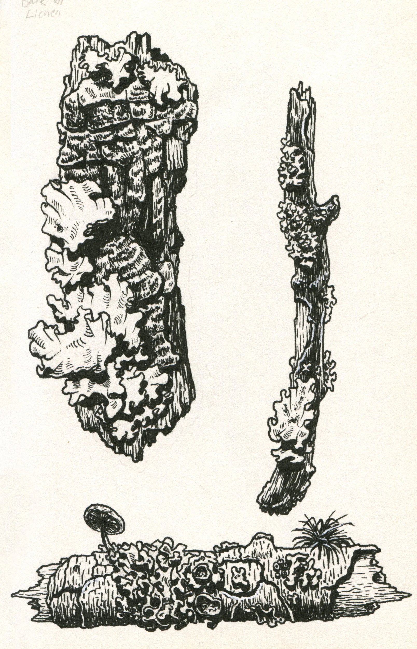 Sketchbook 2026-04.jpg