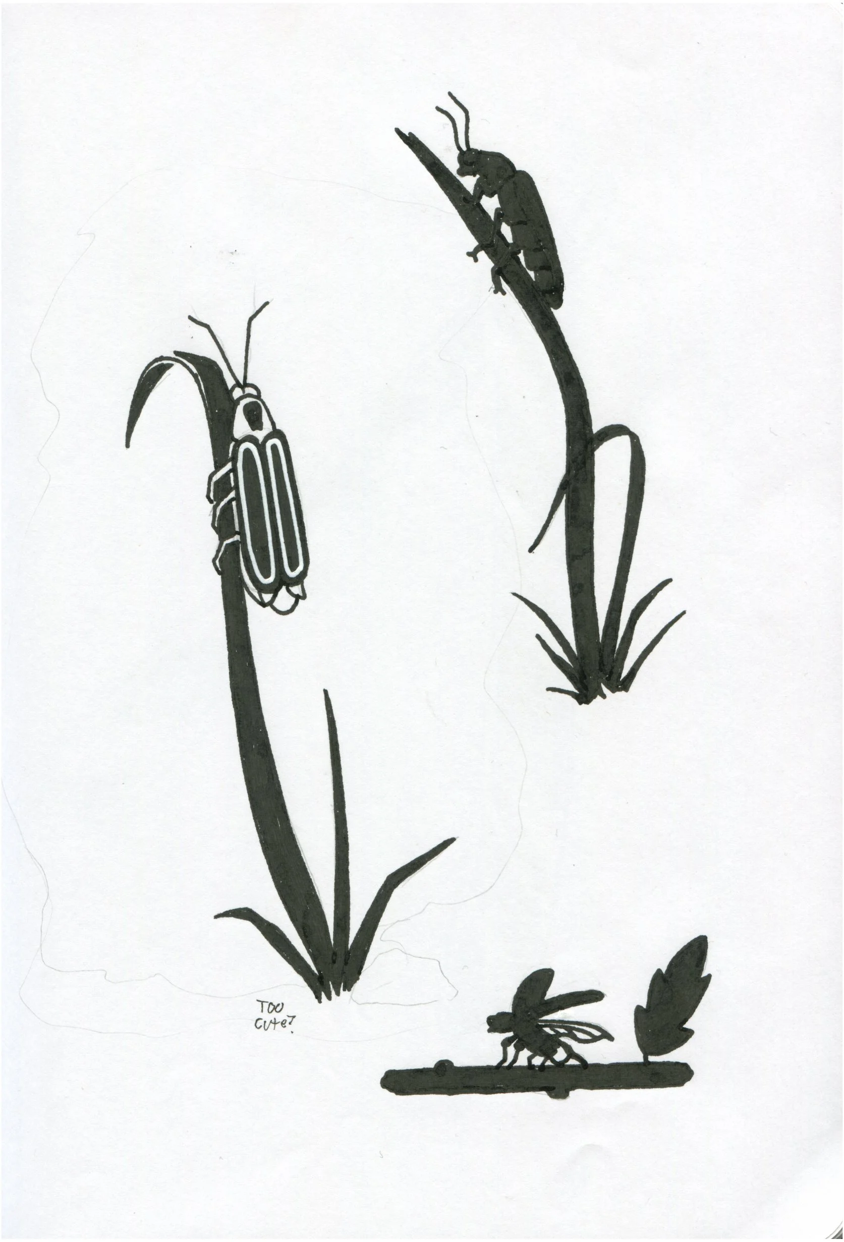 Sketchbook Clairefontaine-13.jpg