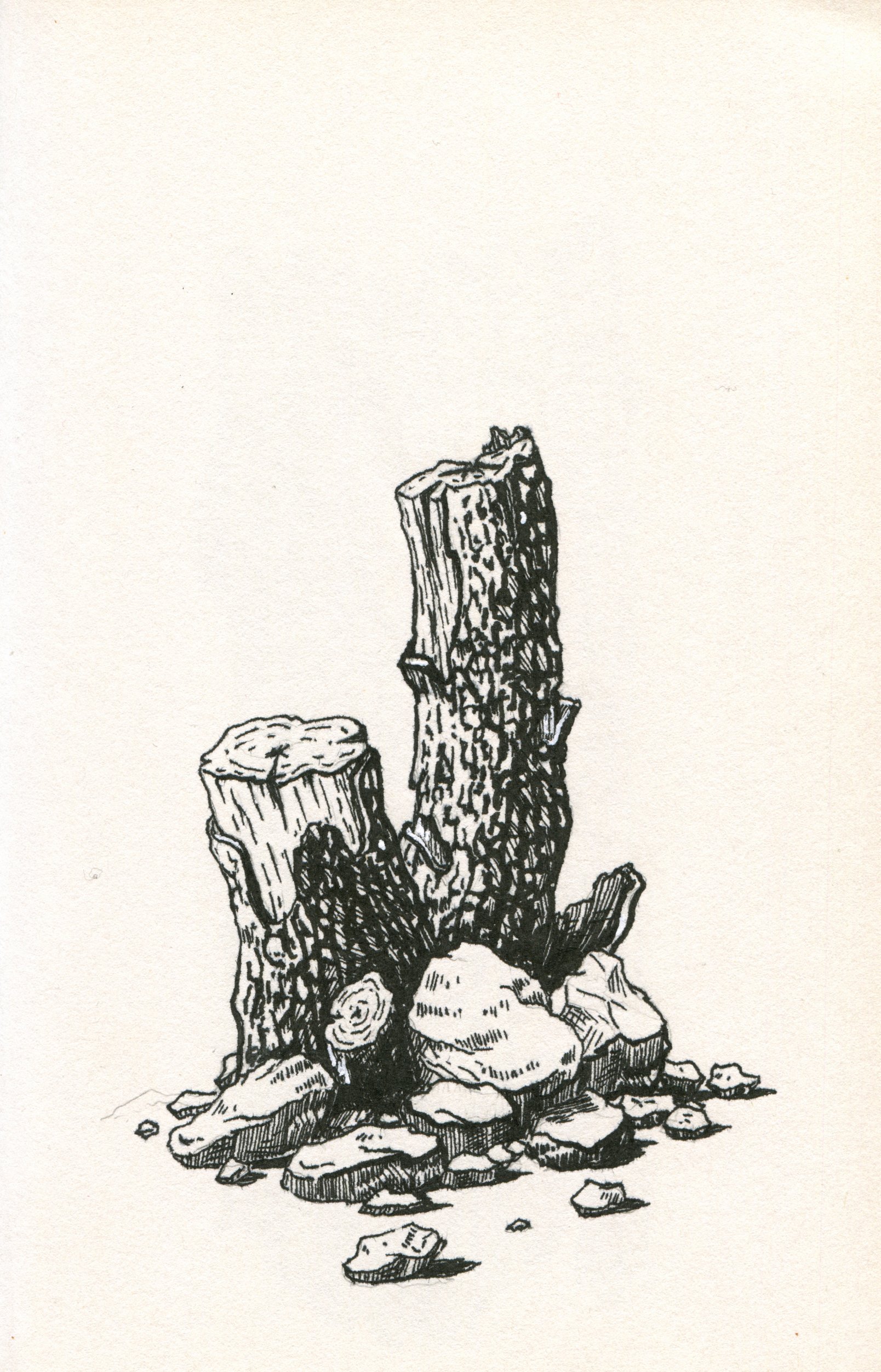 Sketchbook 2026-09.jpg