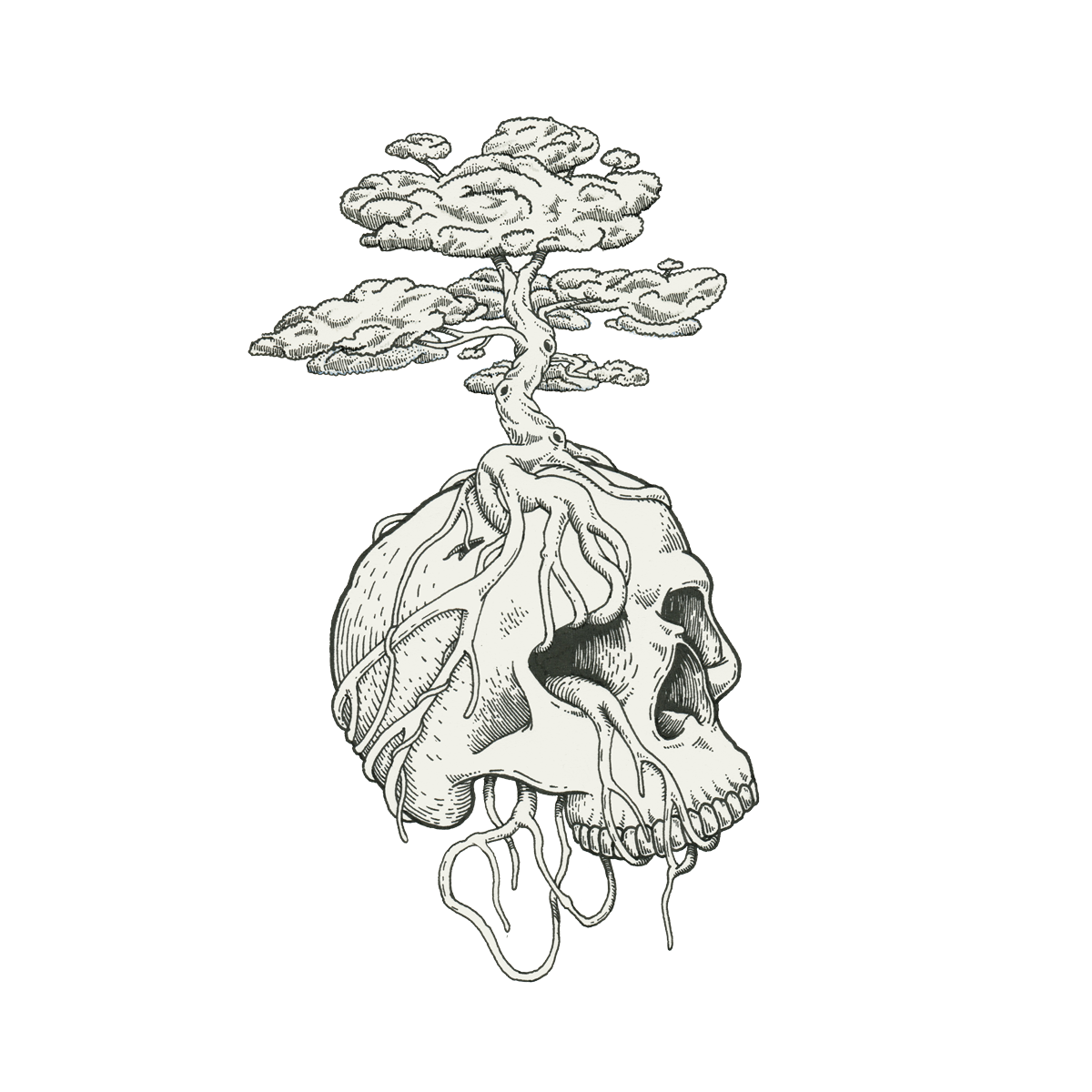 Bonsai-Skull.png