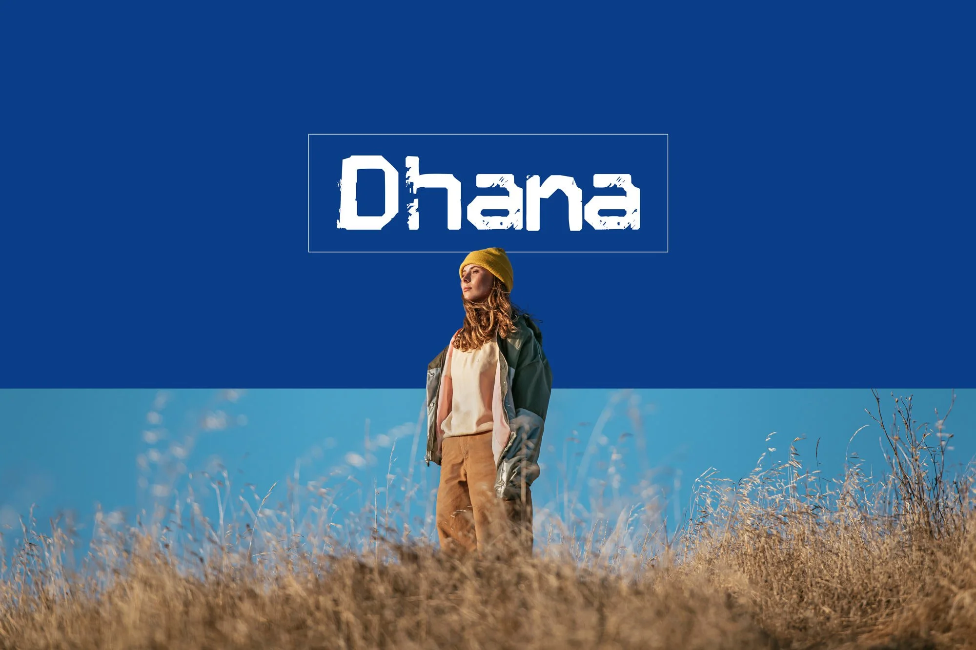 Dhana_coverimage_home_2.jpeg