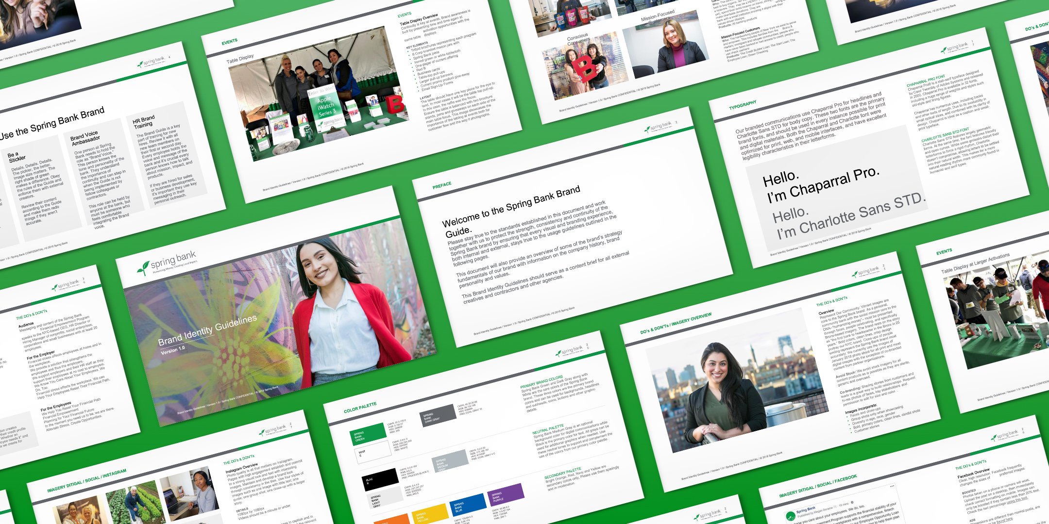 Spring_Bank-Guidelines 3.jpg