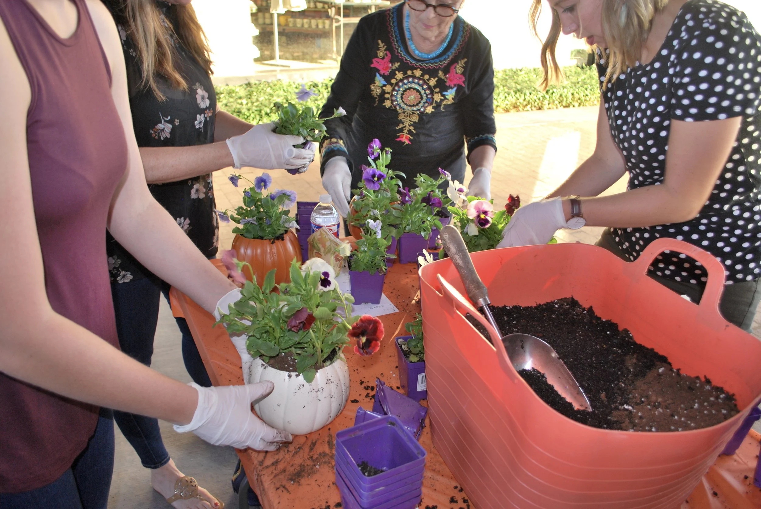 The scoop on upcoming events Adorn will be offering several container gardening workshops in April. Hope you're excited to get your hands dirty after a long winter. We will have 2 container gardening workshops during the Quail Creek Home Tour on Saturday, April 1st at noon and 2pm. Also we will be returning to West Elm in Classen Curve for a container gardening workshop on Thursday, April 6th at 6pm. Stay tuned to Adorn on Facebook and Instagram for registration information. Grab some friends and join us!