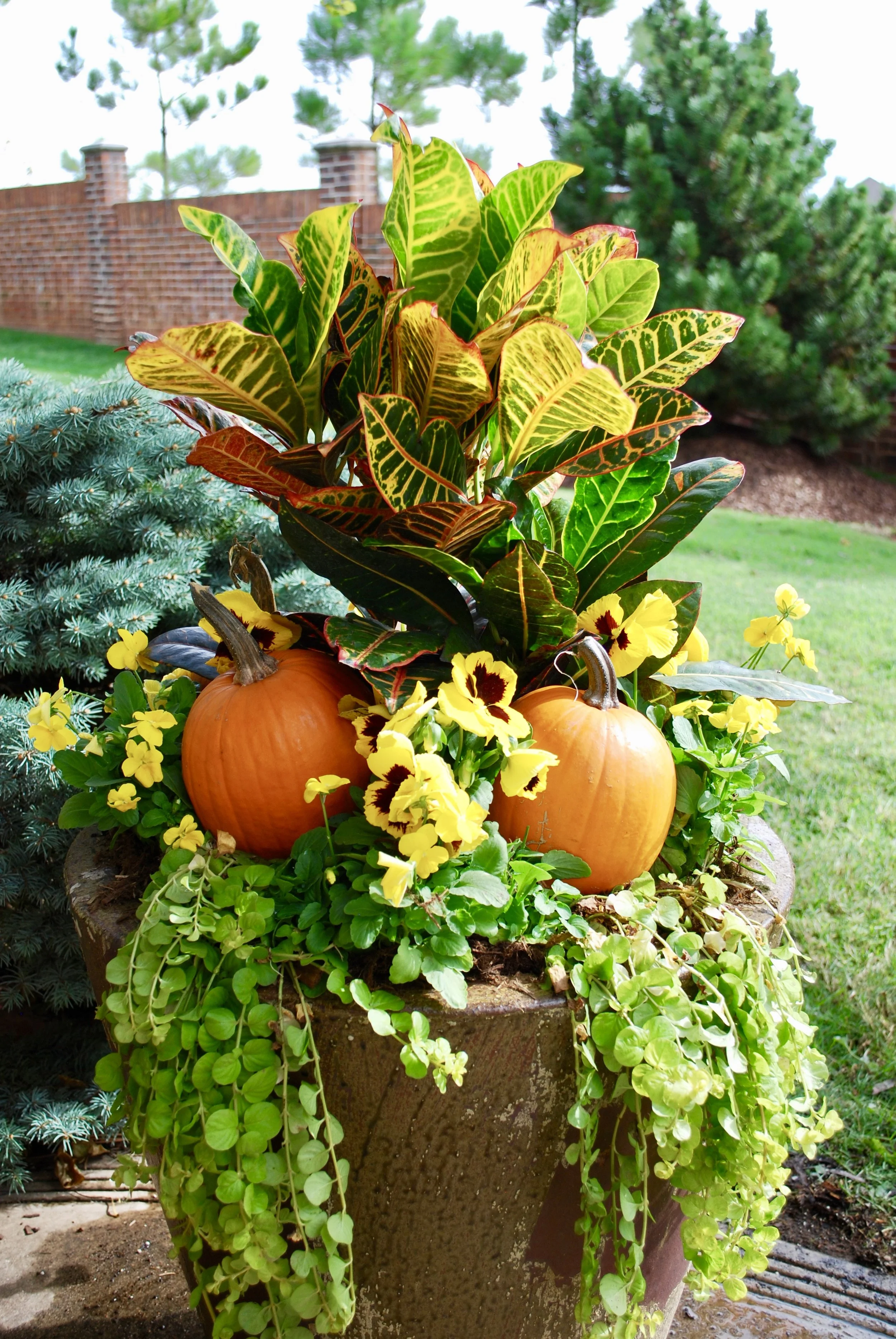 Pumpkin Centerpieces and Other Fall Container Garden Favorites