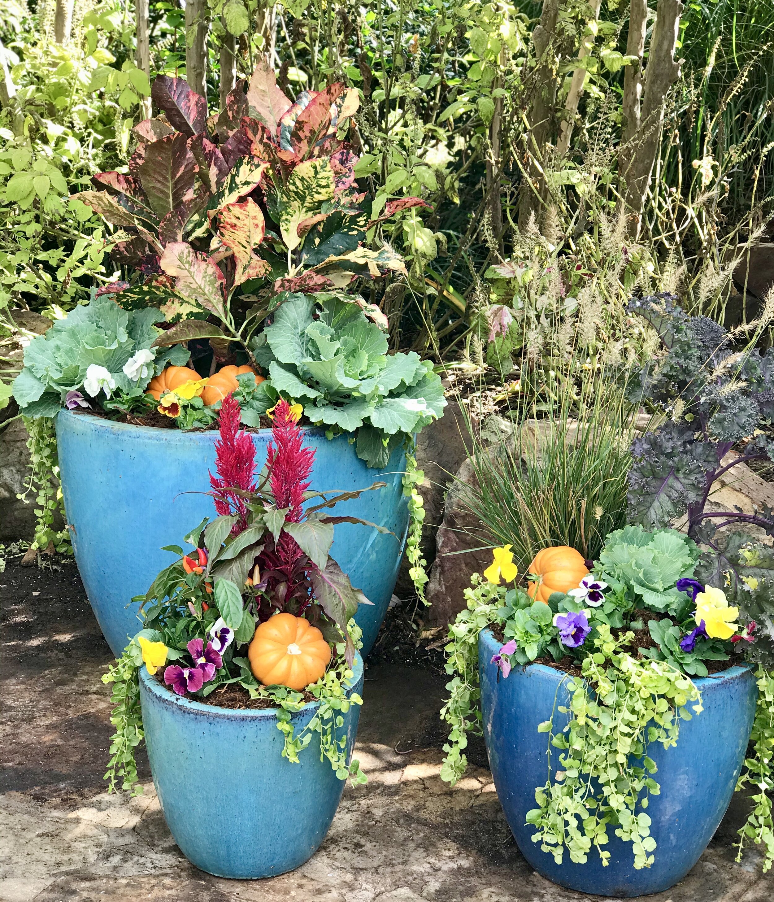 Better Planting In Tall Pots 101: How To Plant, Fill, And Arrange