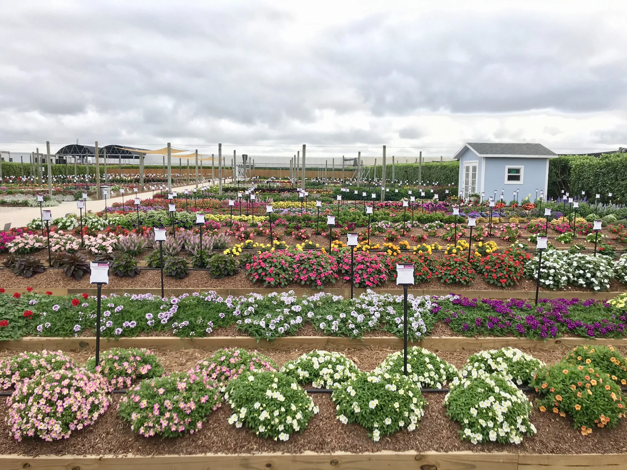 2020 Garden Trends: What You Need to Know