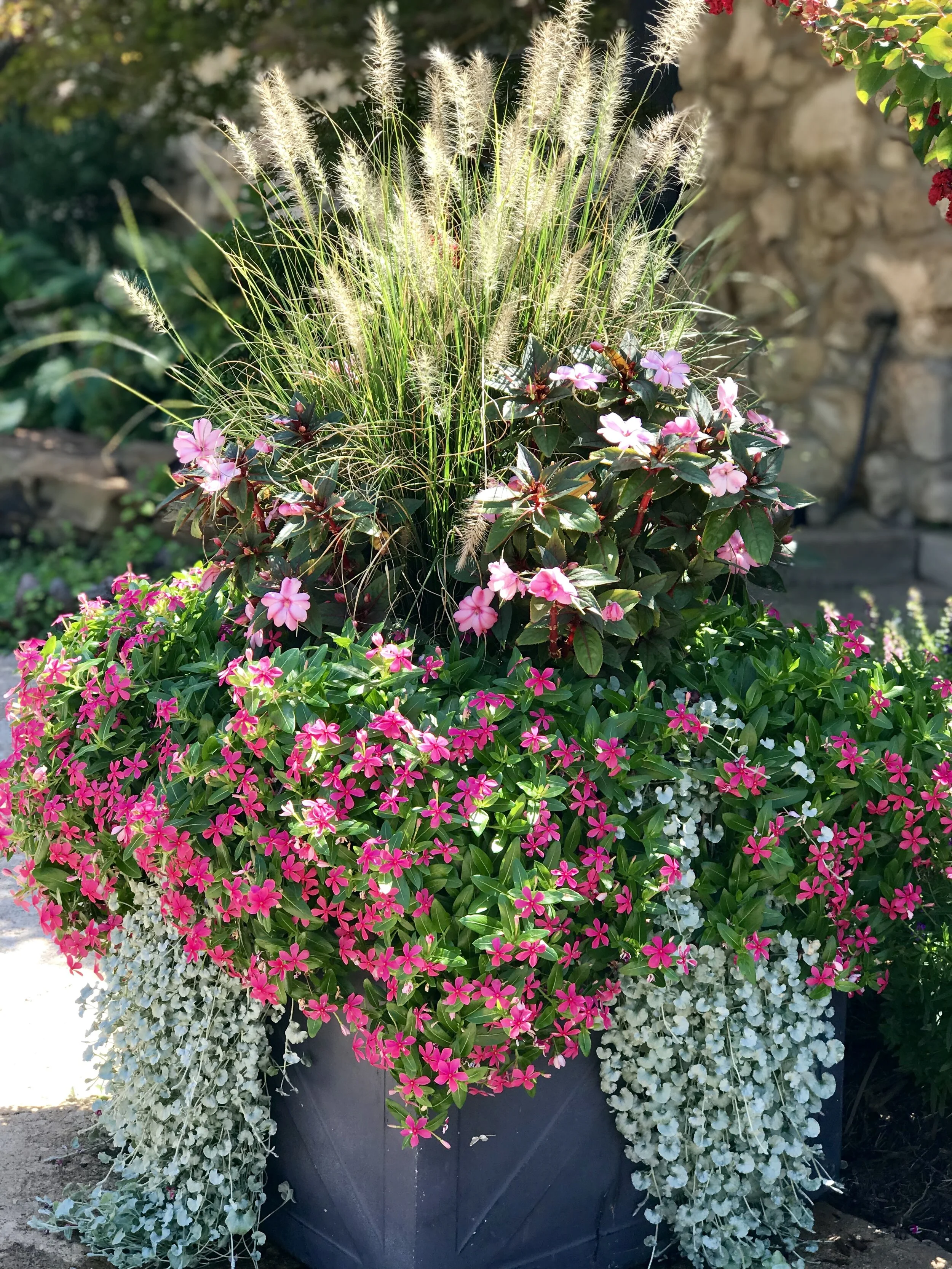 Our Favorite Summer Blooms for Your Garden