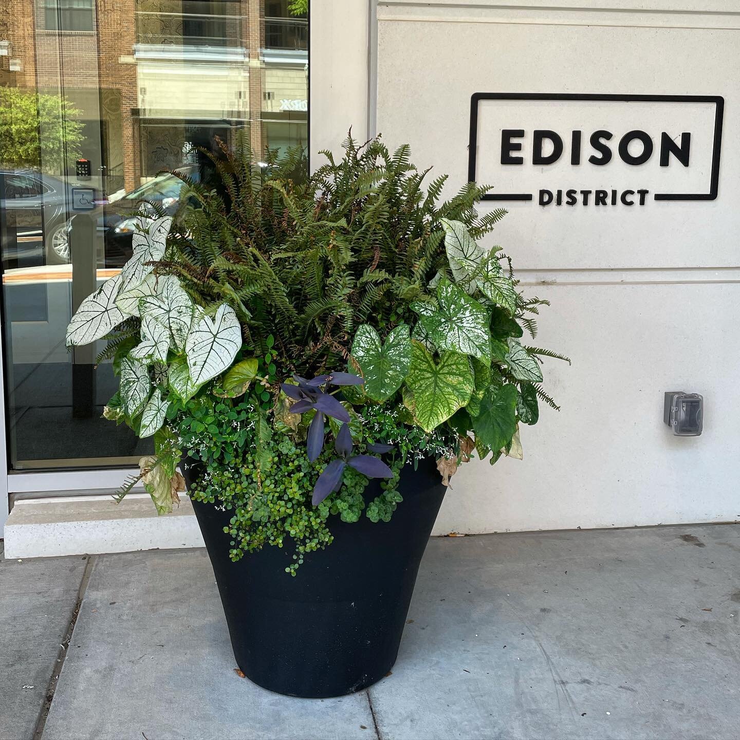 We hope that you are enjoying your weekend! We ate lunch in downtown Overland Park and checked on the planters at The Edison District and @stranghall. These @crescentgarden self watering planters are amazing! The weather is gorgeous today in Kansas C