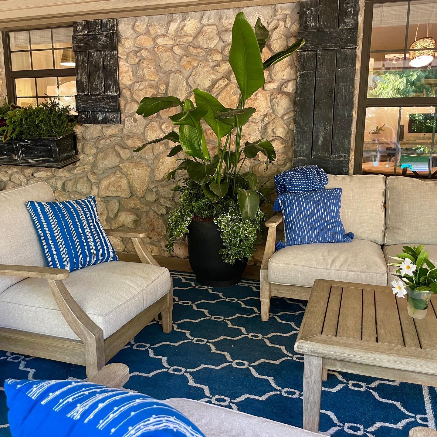 We have a crush on the Florencia style planter by @tierraverdeplanters. We love the large scale - it is 20&rdquo; wide at the top and 22&rdquo; tall. Elizabeth needed something large on her covered back patio and this filled the space so nicely. As a
