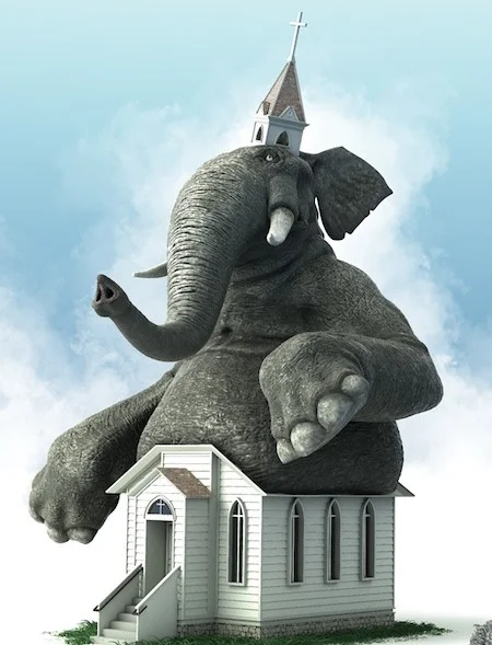 elephant.jpeg