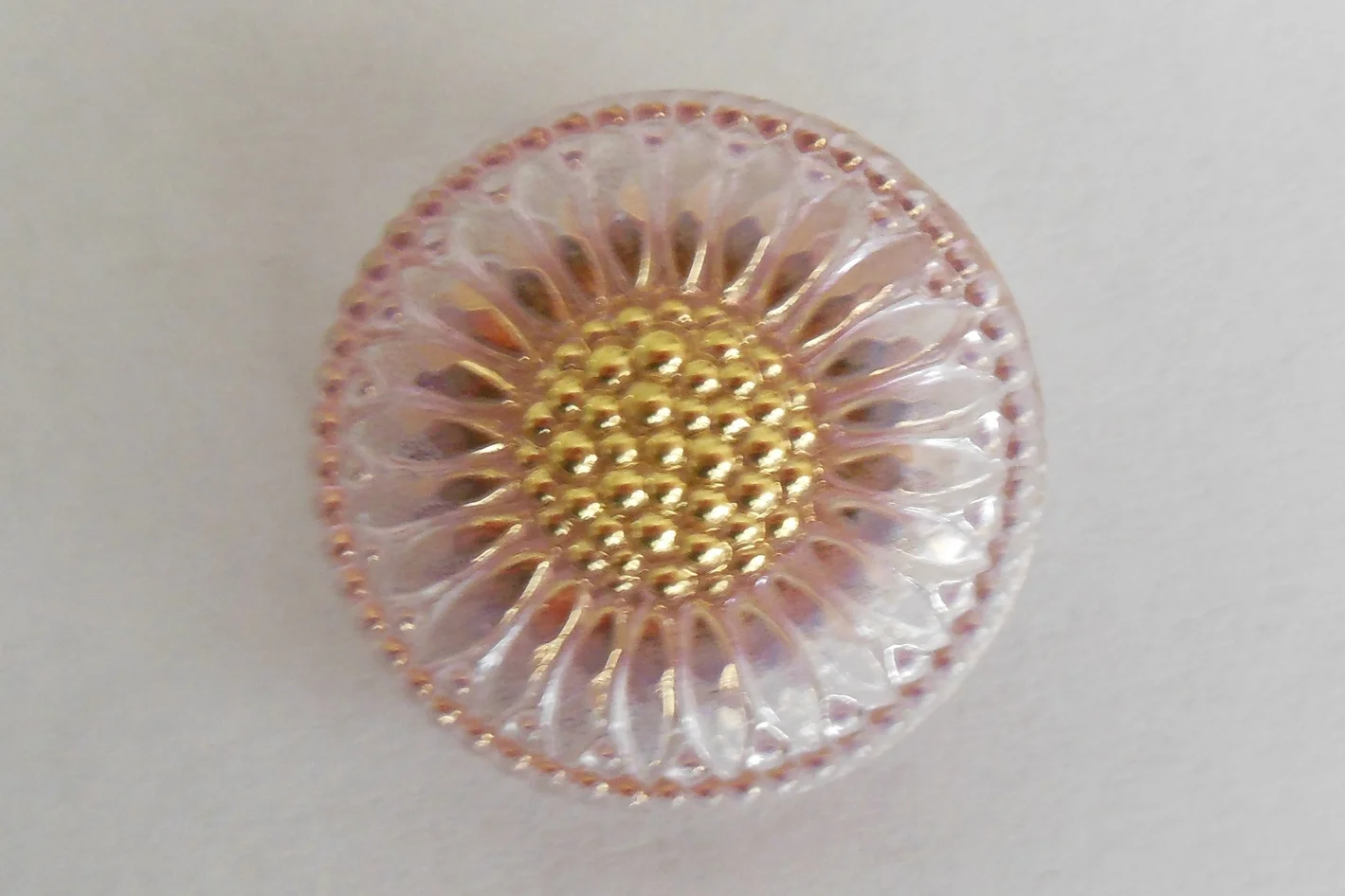 Sunflower in Pink