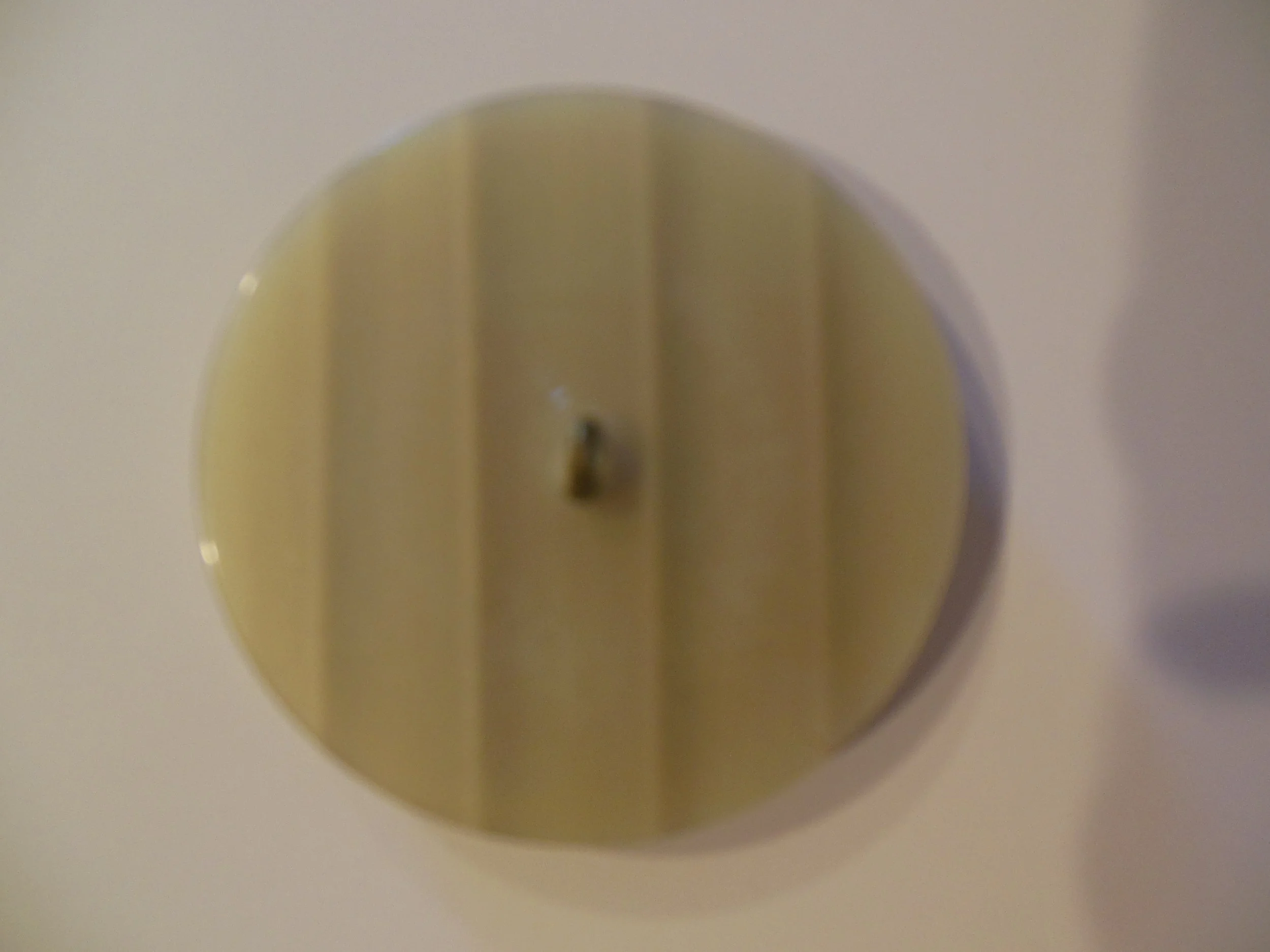 DSCN3105.JPG
