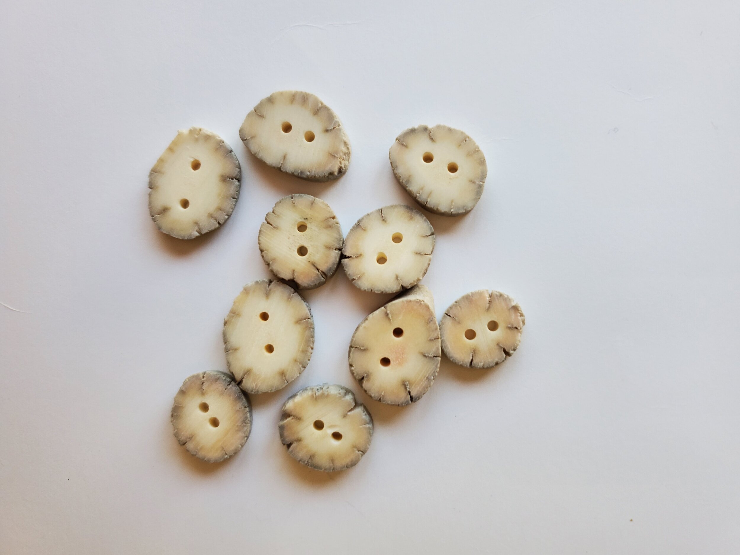 Deer Antler Buttons - Handmade in North Dakota - Set of 10 Lot 2