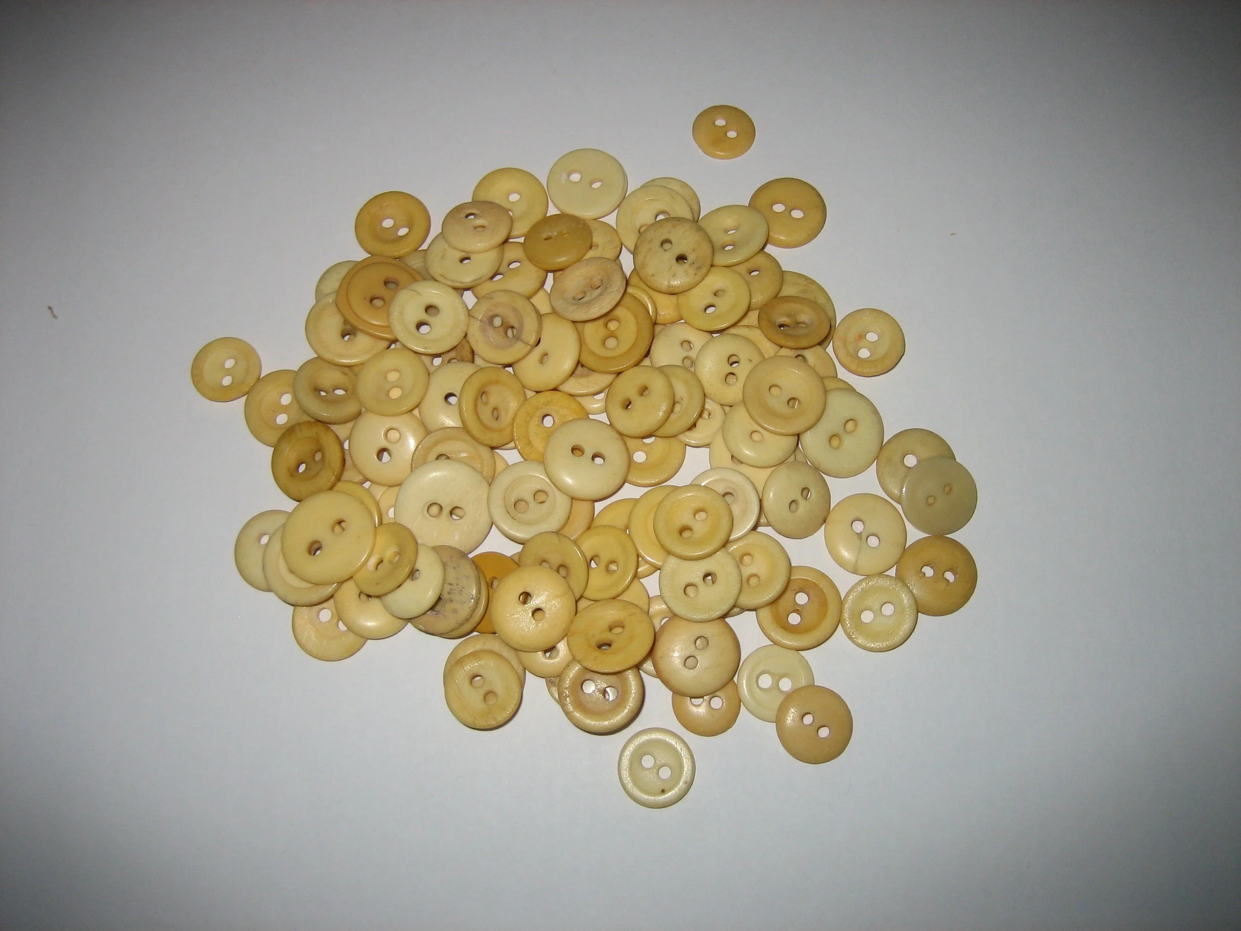 Bone 2-Hole Buttons