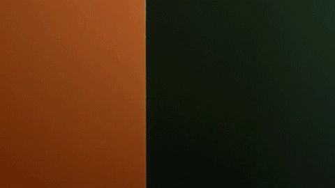 TuFeb_thumb.gif