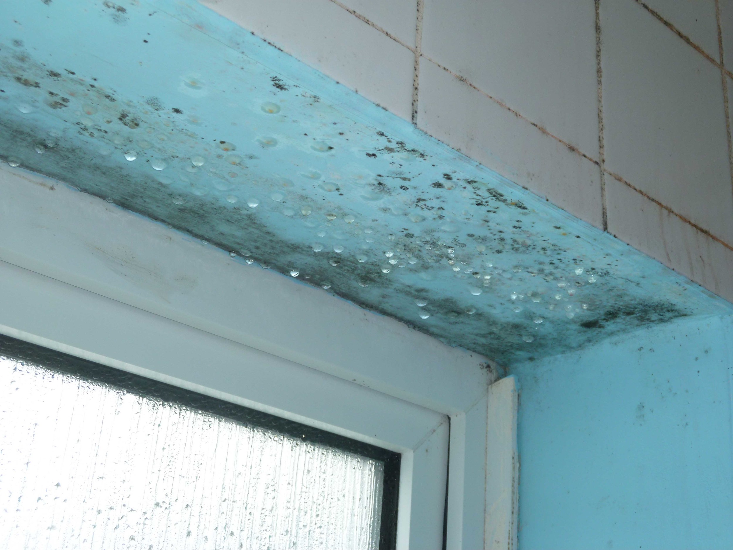 Condensation droplets & mould in bathroom