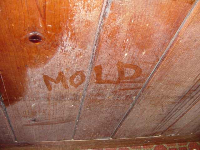 White mould on back of bedroom cupboard against outside wall