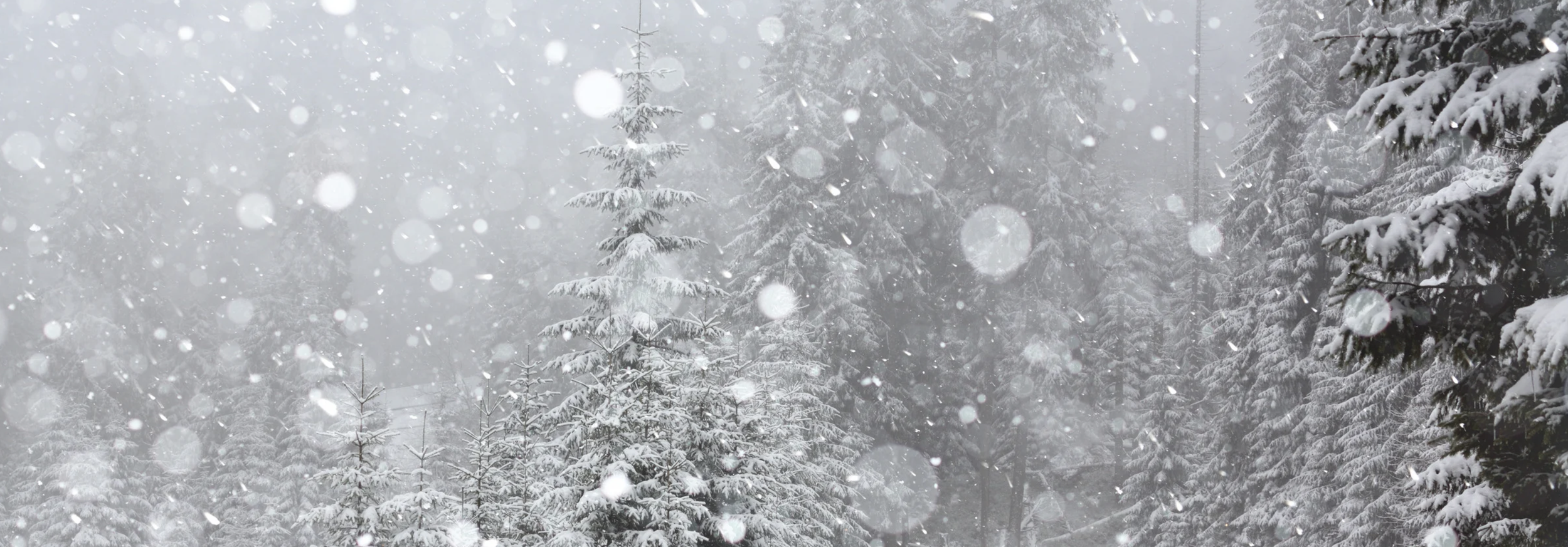 Screenshot 2025-12-16 at 17.47.45.png