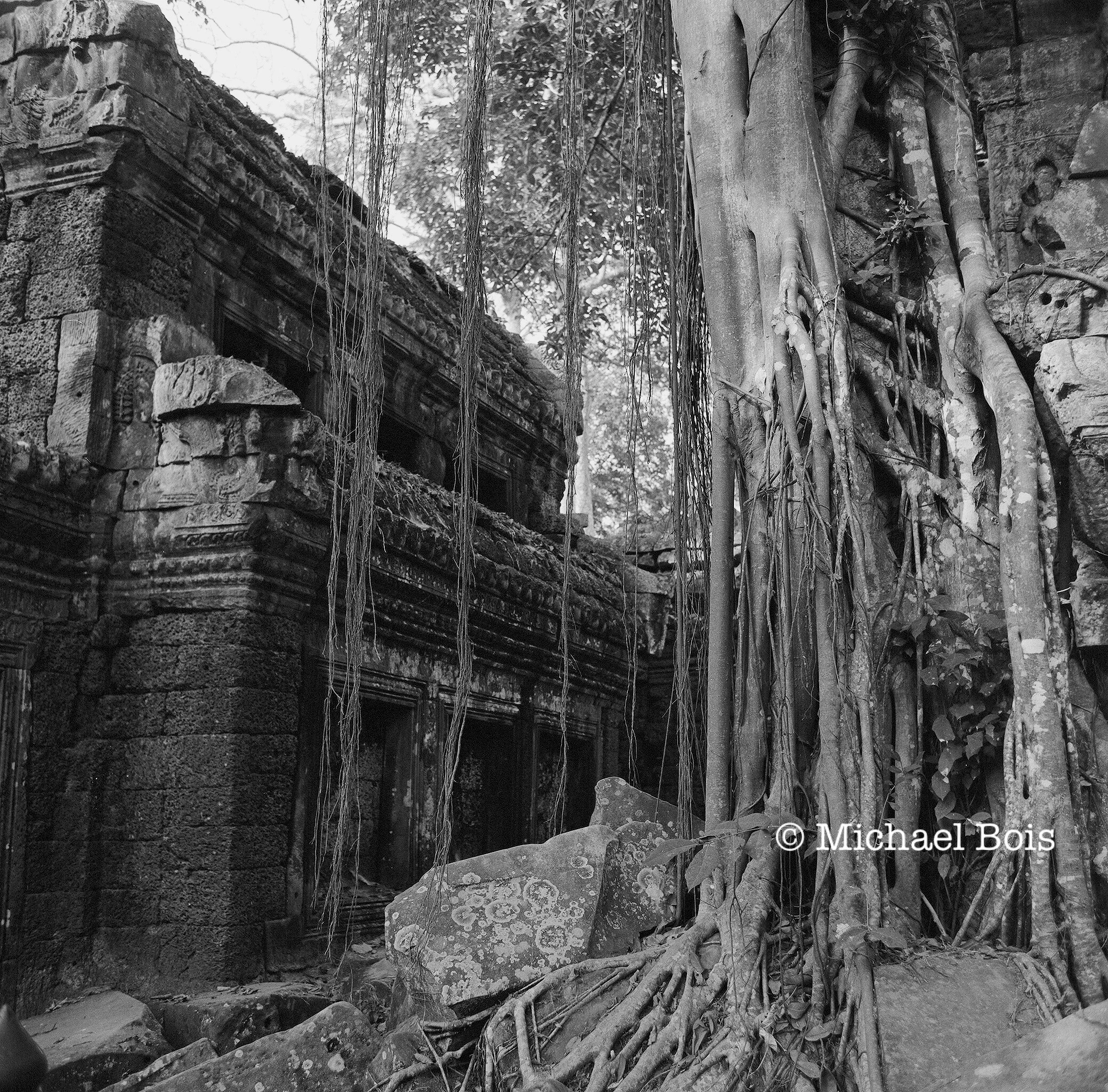 Ta Prohm 2
