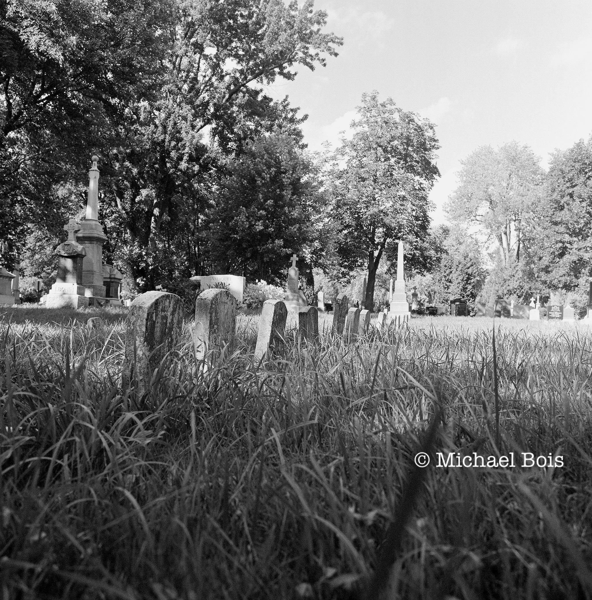 *Notre-Dame-des-Neiges Cemetery (1), Montreal, 2015