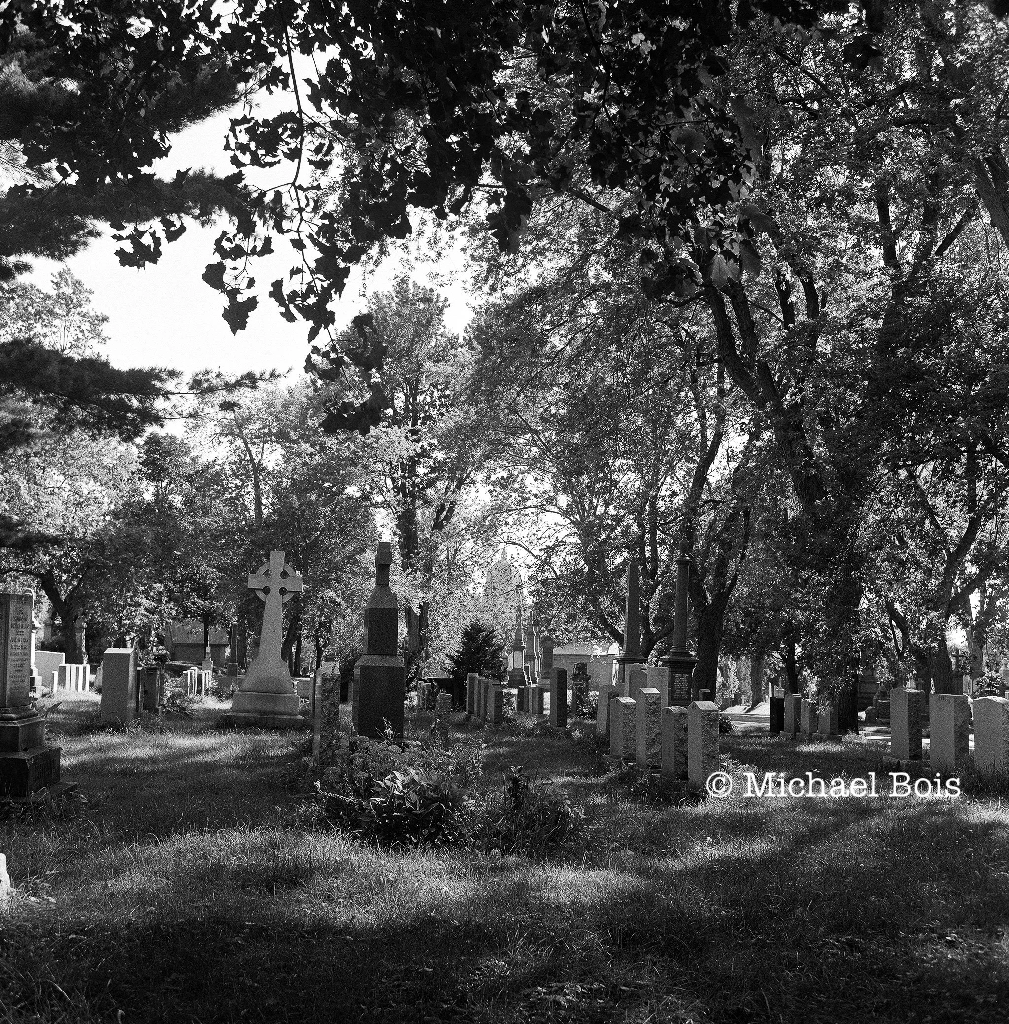 *Notre-Dame-des-Neiges Cemetery (2), Montreal, 2015
