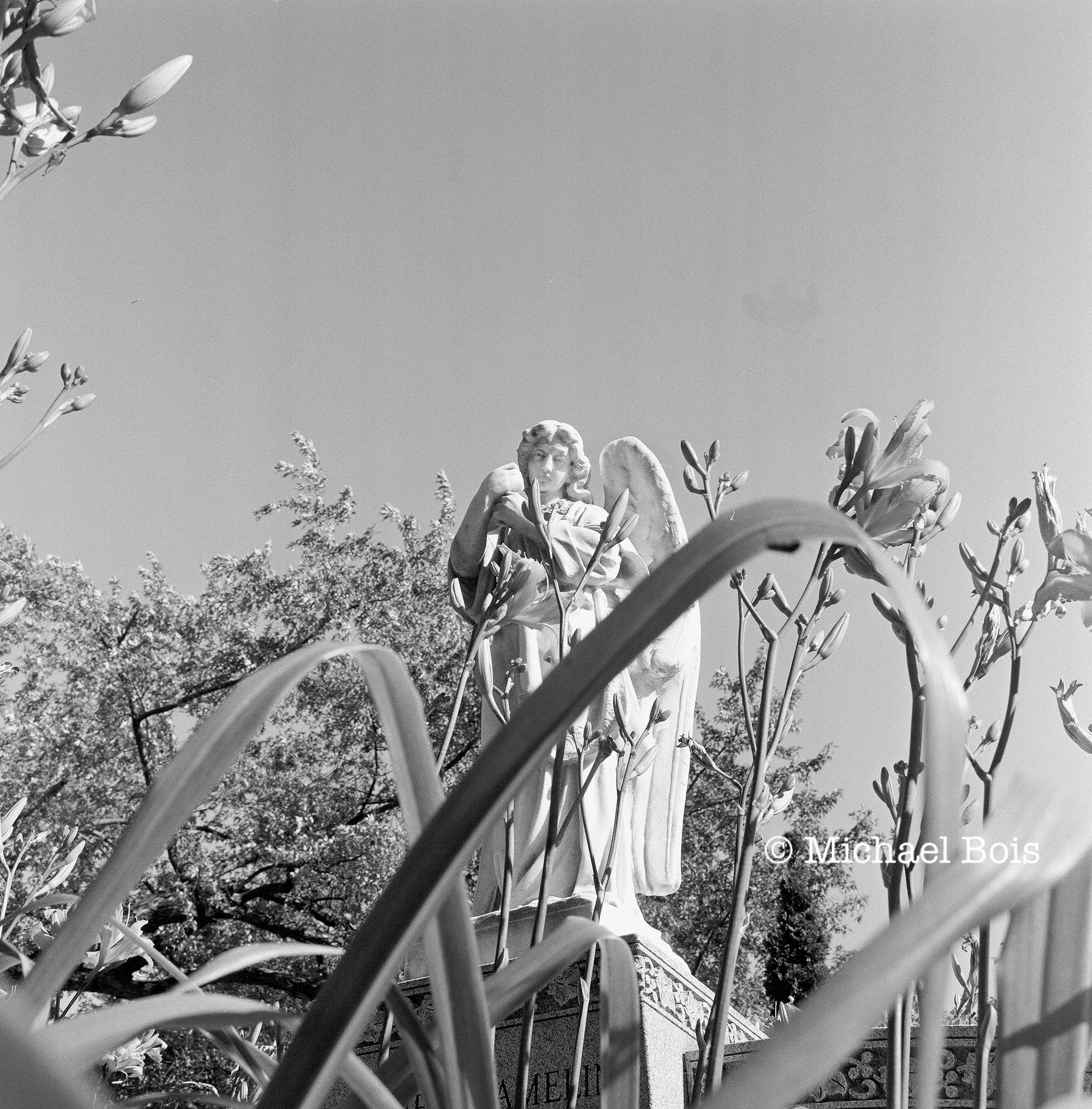 *Notre-Dame-des-Neiges Cemetery (4), Montreal, 2015