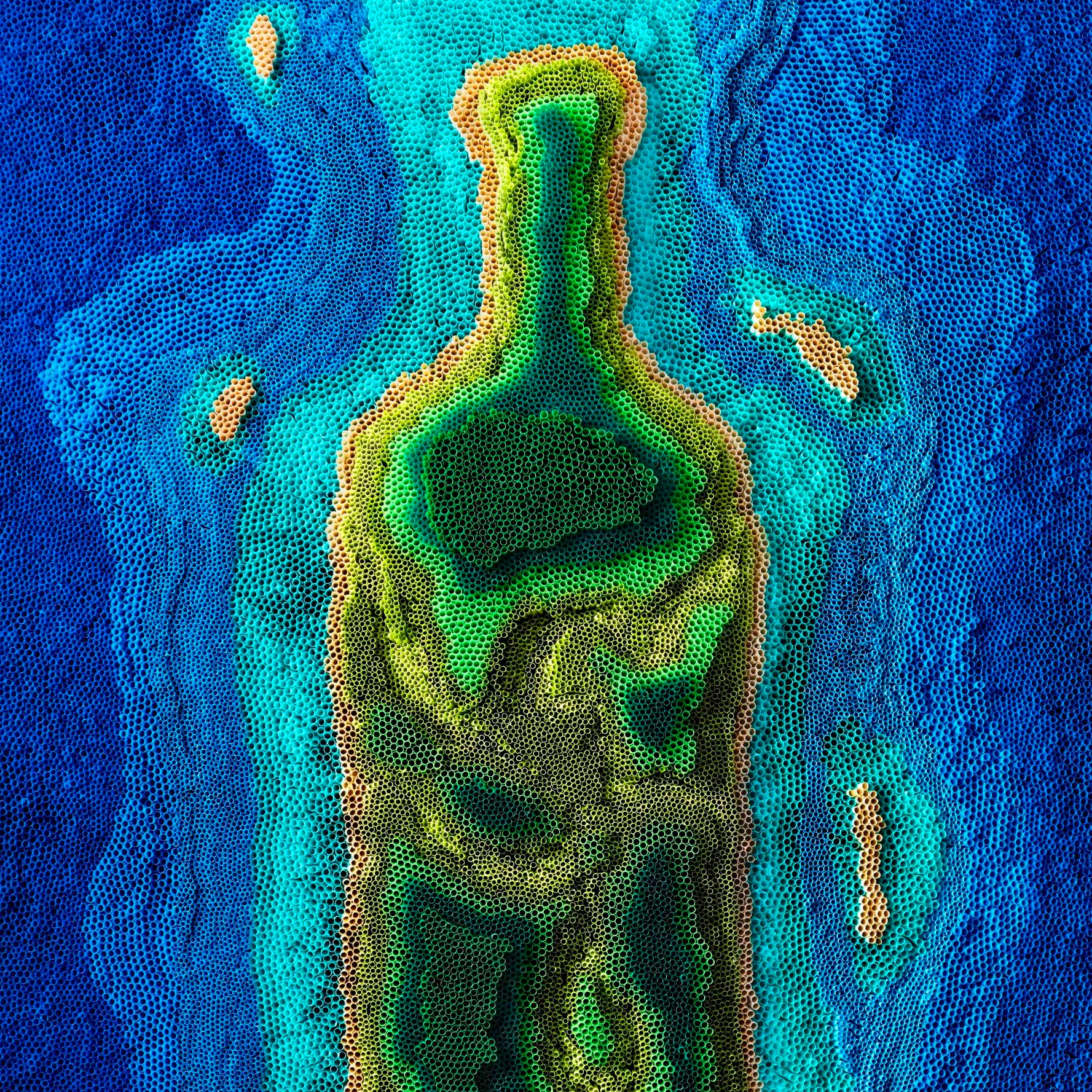 Absolut-Straws_Low-Res_1_2500_c.jpg