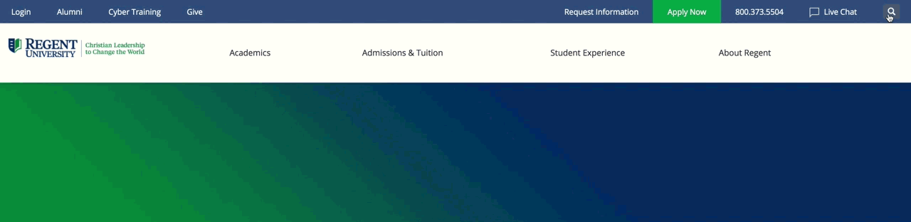 5-Search-Animation.gif