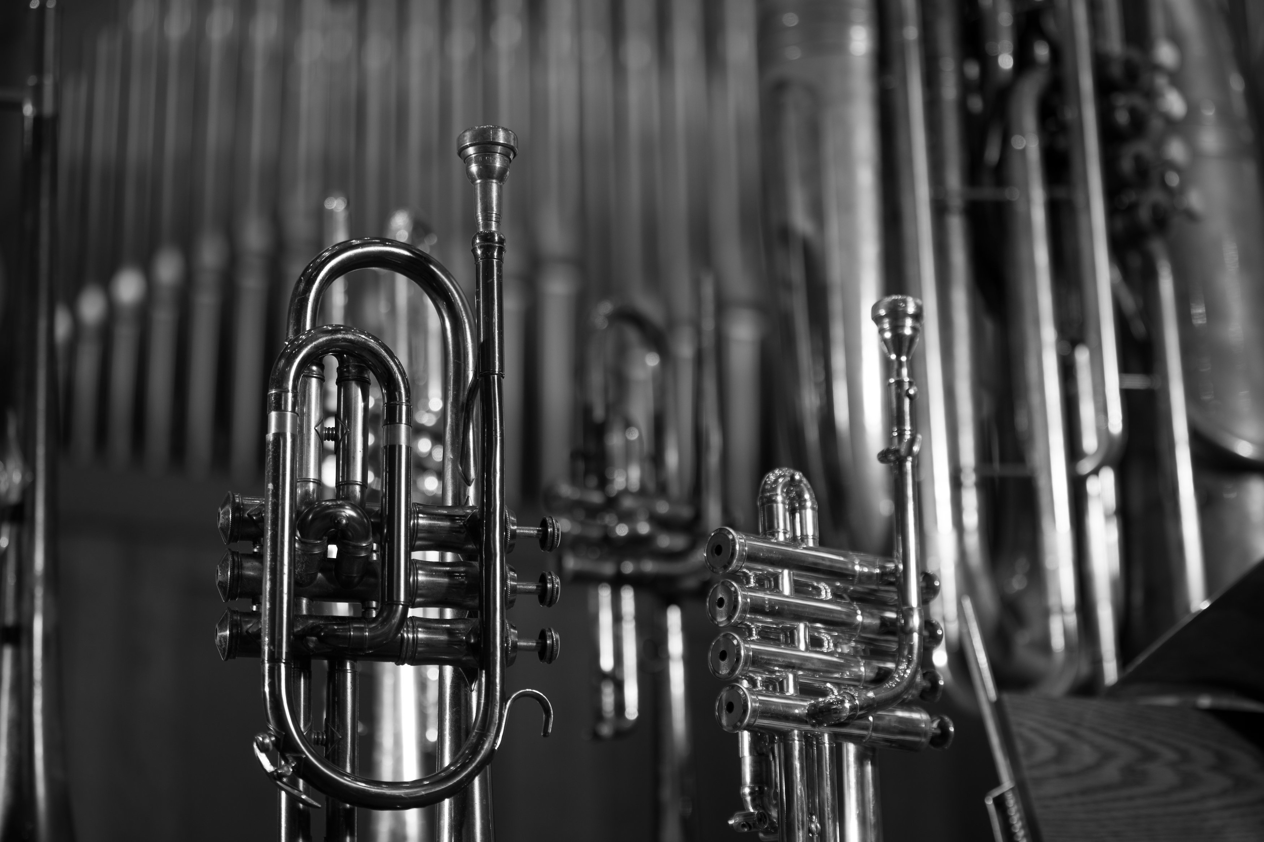 Brass with organ pipes.jpg