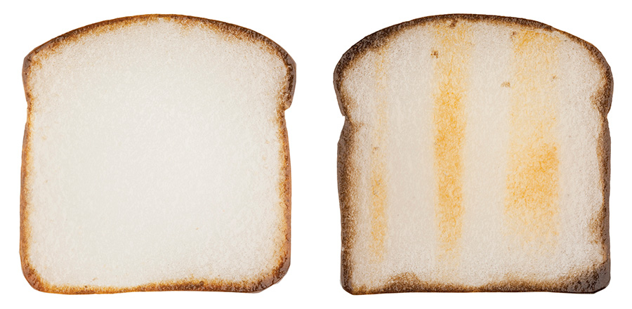 ToastToCounting_spread1.jpg