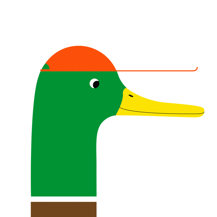 Andrew N. web portrait.png