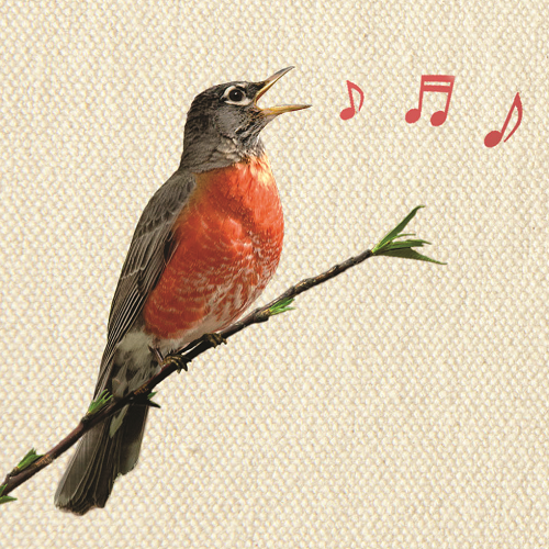 In spring author icon1.png