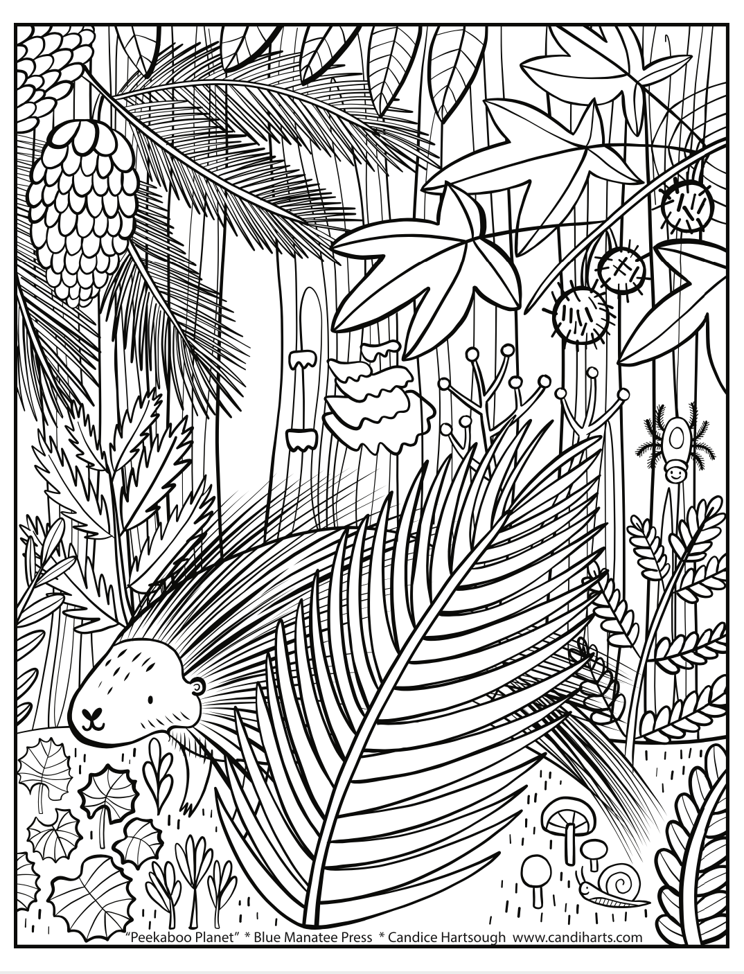 Coloring Pages — blue manatee press
