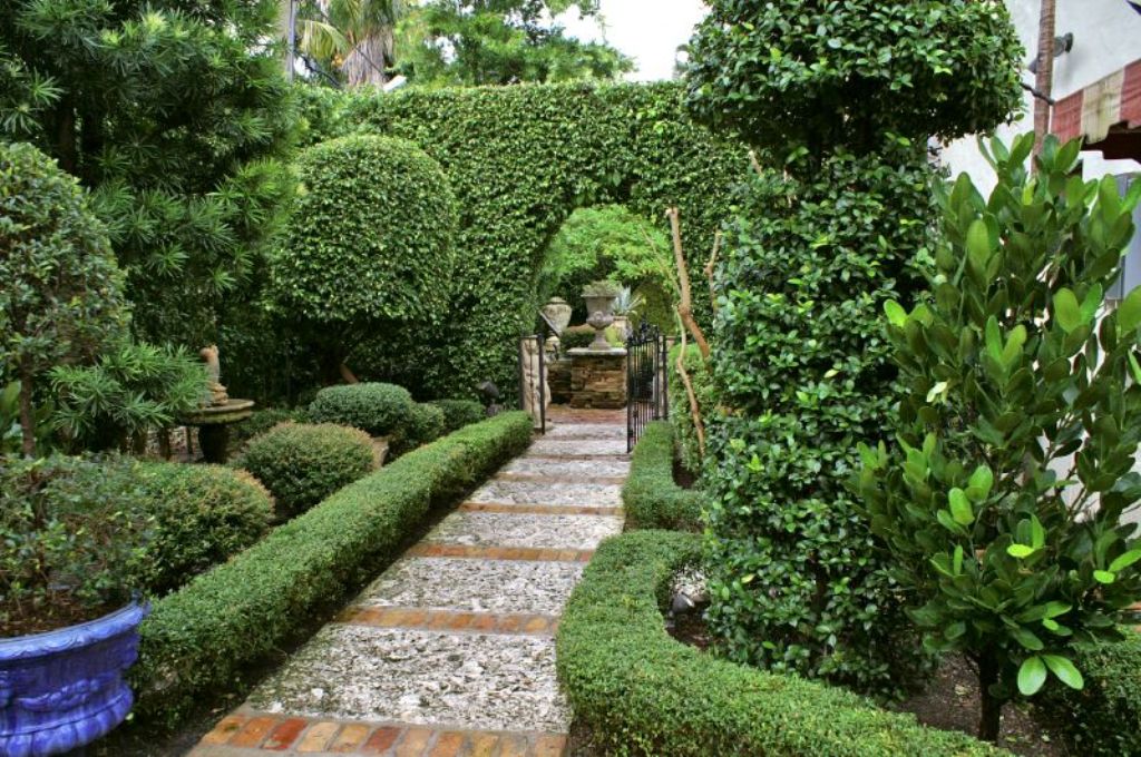 Garden 2.jpg