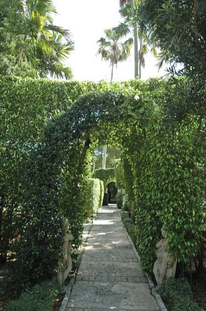 Garden 5.jpg