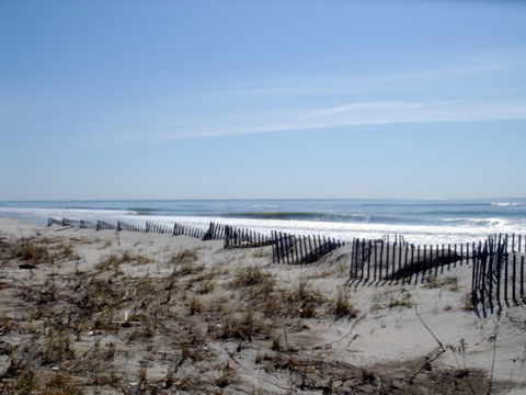 Resize of photo2034.jpg