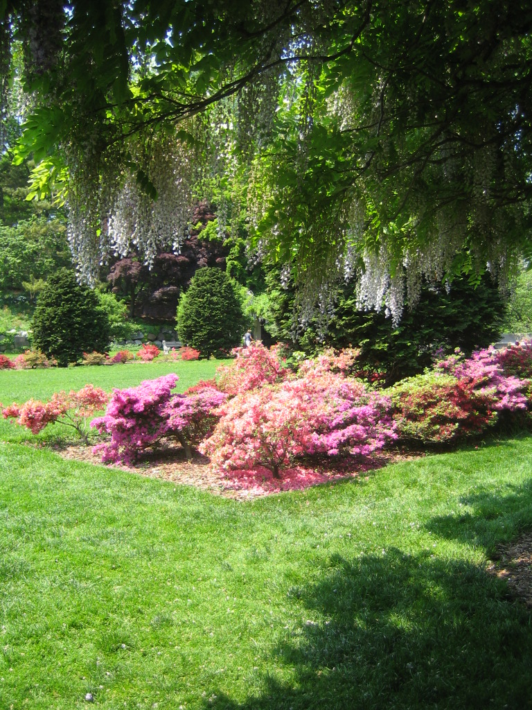 Brooklyn Botanical Garden