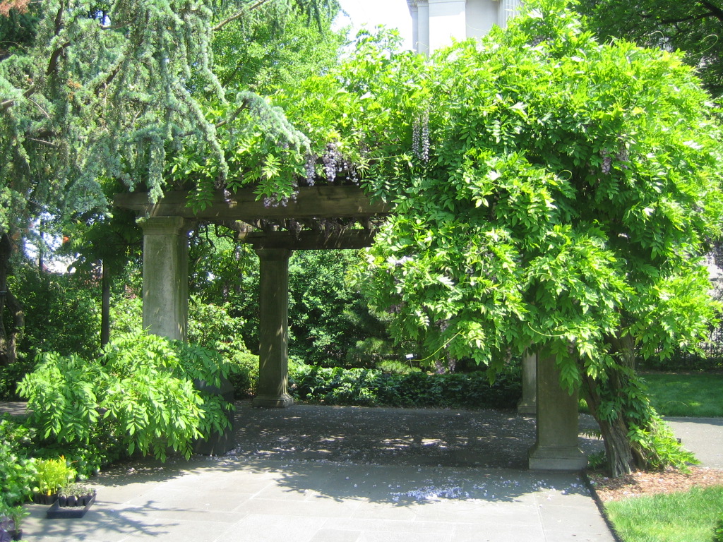 Brooklyn Botanical Garden