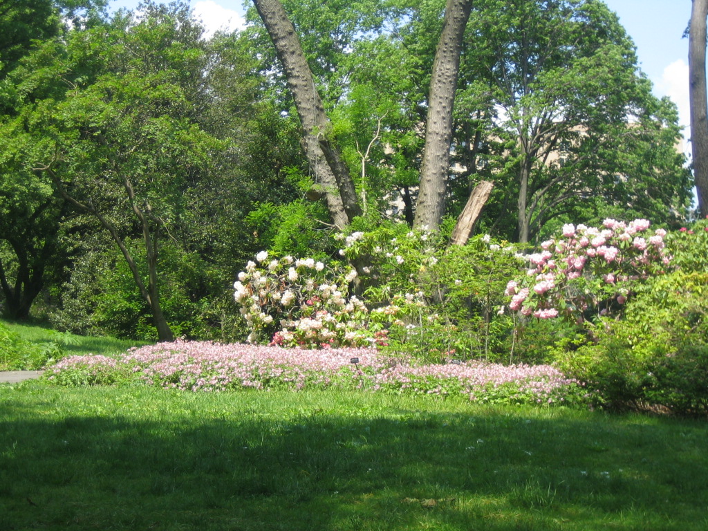 Brooklyn Botanical Garden