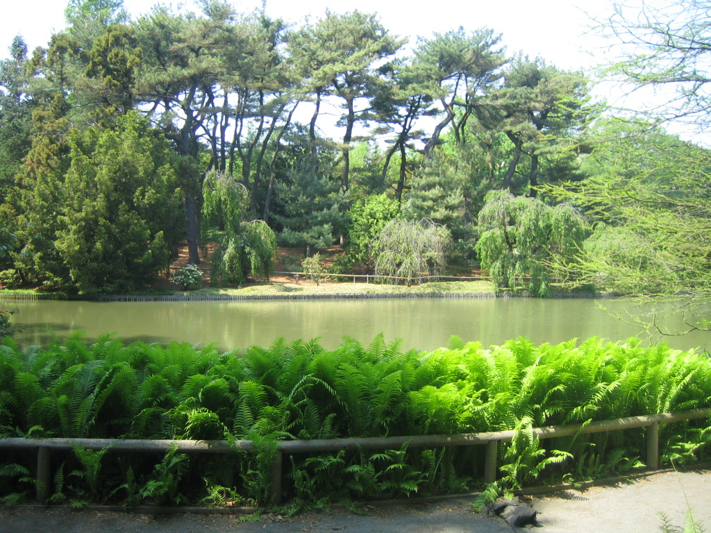 Brooklyn Botanical Garden