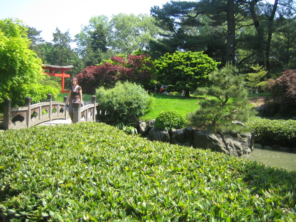 Brooklyn Botanical Garden